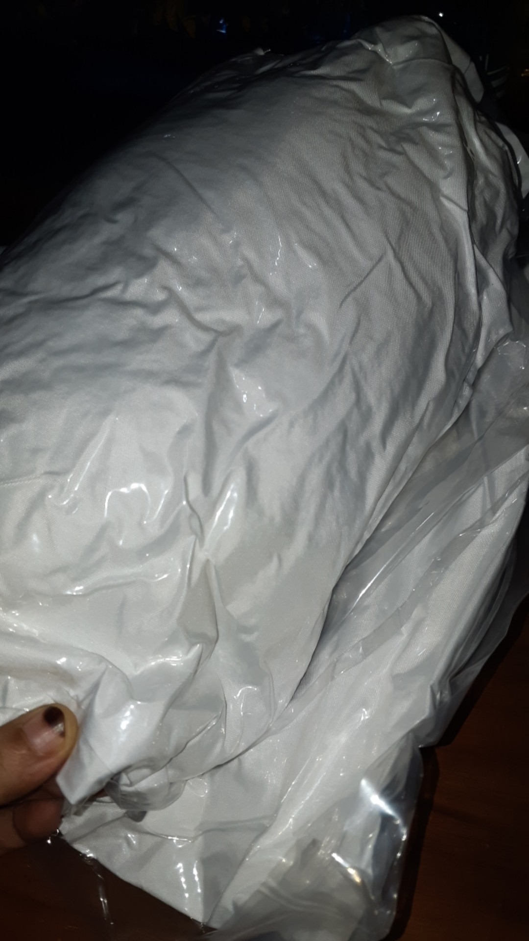 Bantal Anak Polos Restking 38x58 Cm