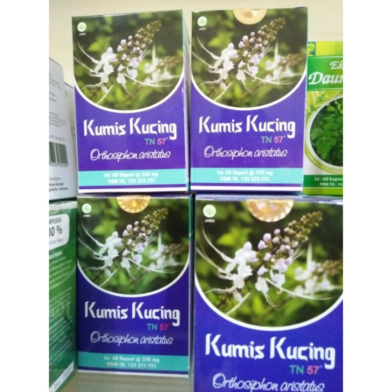KapsulHerbal KumisKucing