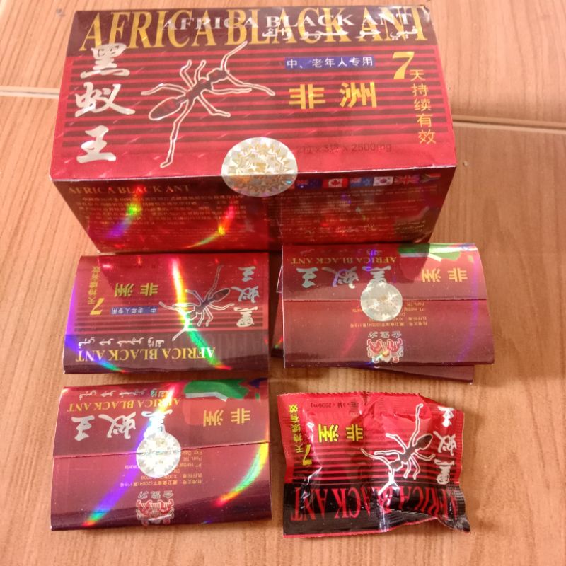 semut 15/africa black ant 15