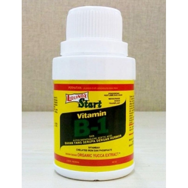 vit B1 untuk aglonema anggrek , monstera dan tanaman hias lainnya
