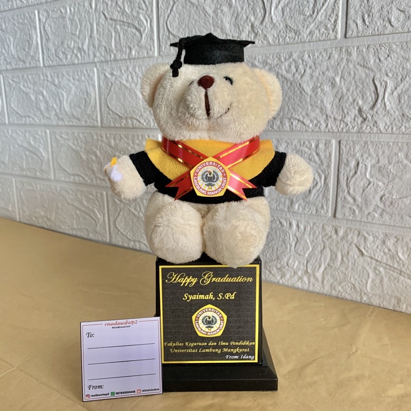 Piala wisuda / boneka wisuda / kado wisuda / bucket boneka wisuda / piala boneka wisuda