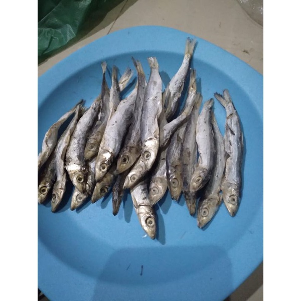 

IKAN ASIN JAPOH SEDANG