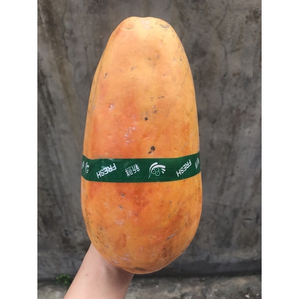 

Pepaya California / Buah