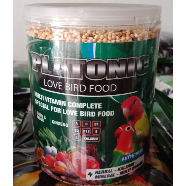 Platonic Lovebird Food