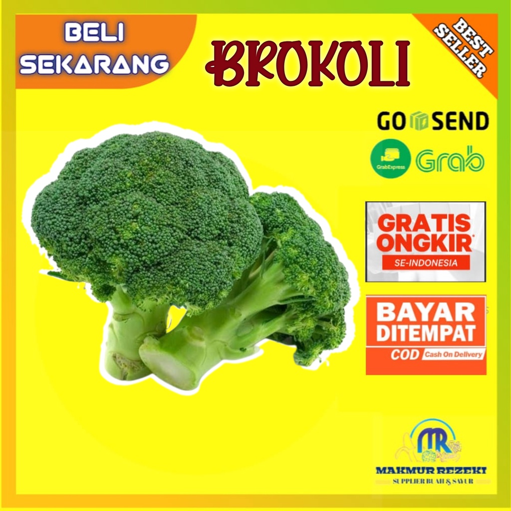 

SAYUR BROKOLI 1 BUAH/BONGGOL 250-400 GR