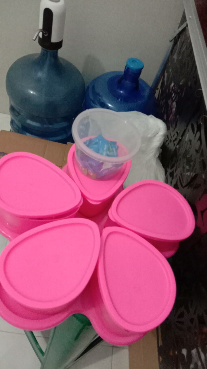 Toples Oval Alamanda Toples Cantik (warna Random)