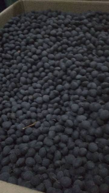 

Kranji 200gram