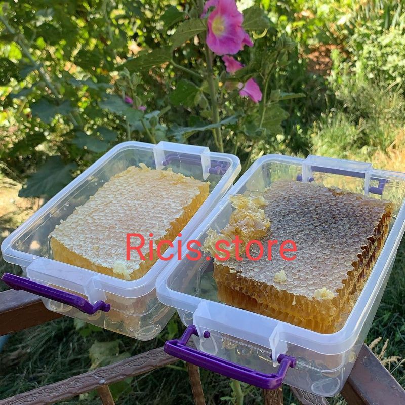 MADU SARANG ASLI RAW HONEY SARANG MADU HONEYCOMB 250 GRAM