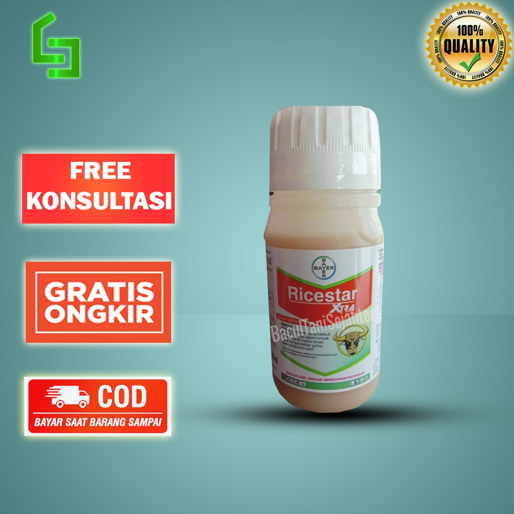 RICESTAR BANTENG 250 ML HERBISIDA Selektif Obat Pembasmi Rumput untuk Tanaman Padi