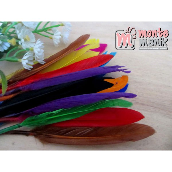 Bulu  Ayam Kreasi (BLK-02)