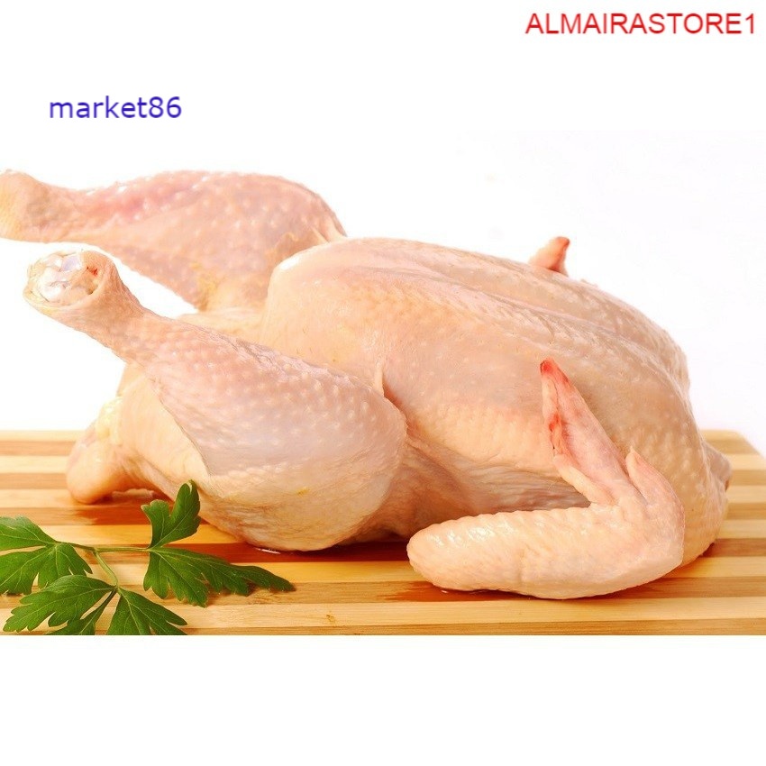 

Grosir DAGING AYAM KAMPUNG SEGAR 1 EKOR 750-800 Gram murah - Market86