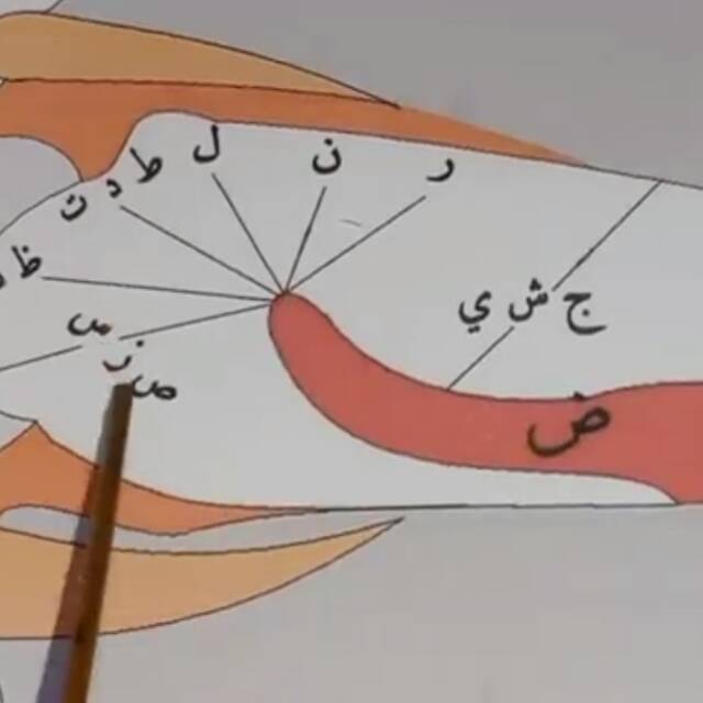 melanienellypransiska