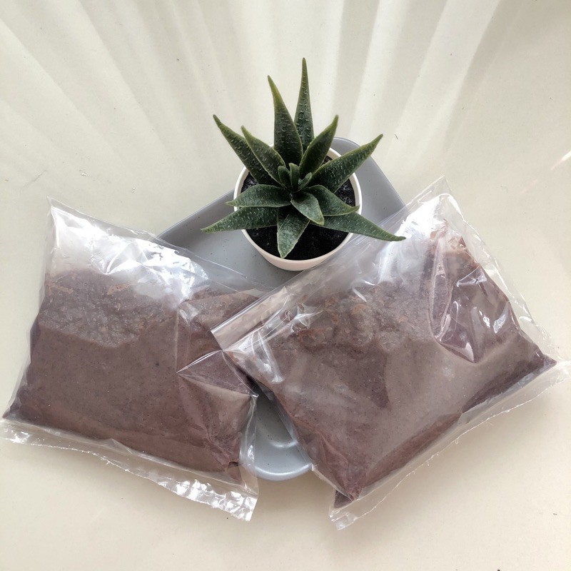 

Tohay / Tohai / Tohe Udang (Shrimp Paste)