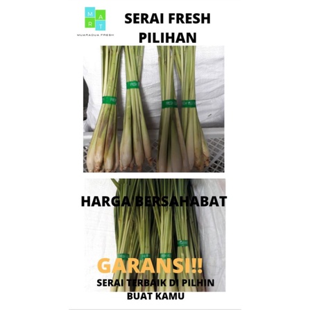 

serai fresh pilihan