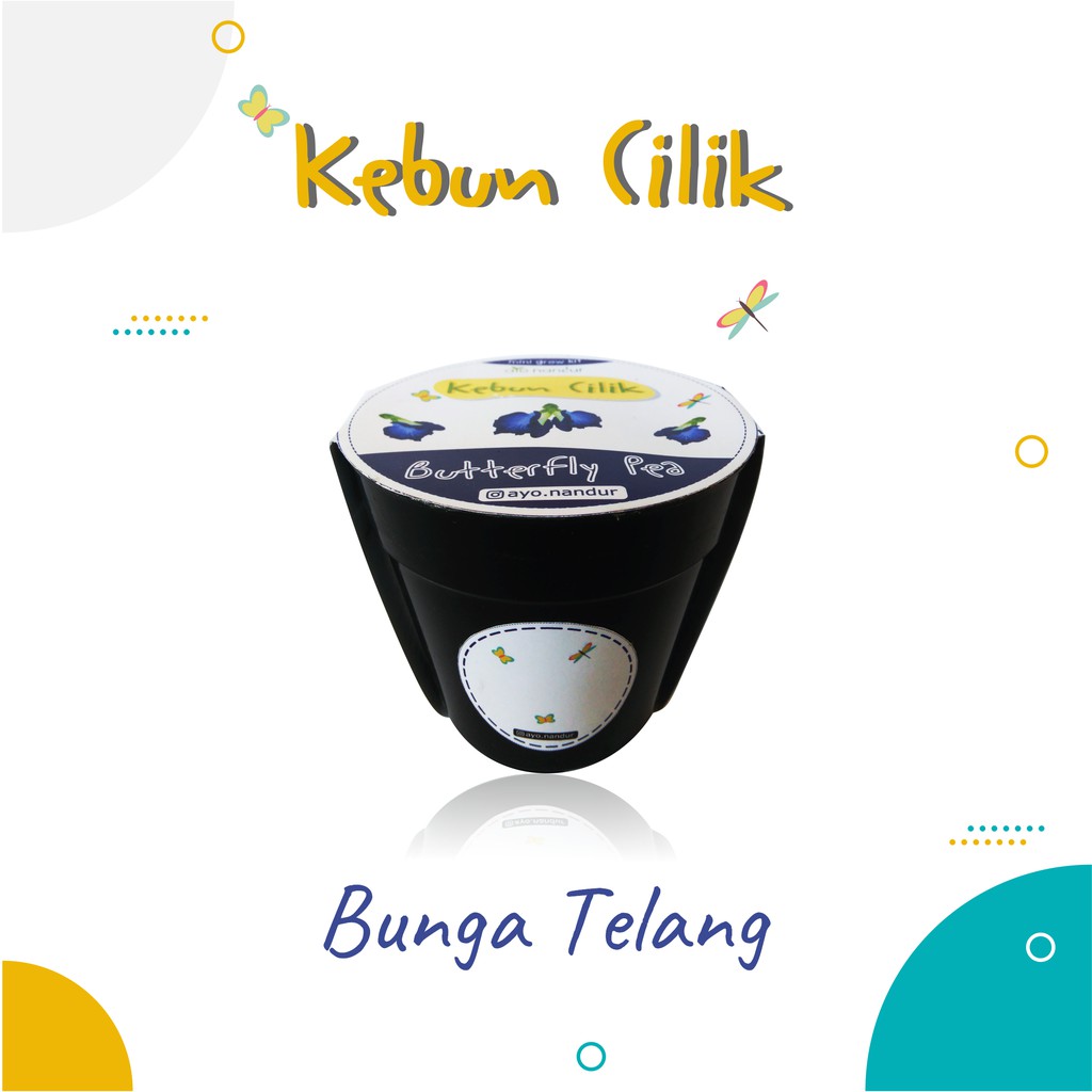 BIBIT TANAMAN BUNGA TELANG BUTTERFLY PEA BENIH BERKEBUN (20 benih) Ayo Nandur Kebun Cilik