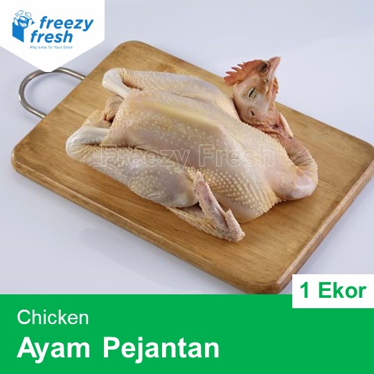 

Ayam Pejantan Premium uk 06-07 per ekor