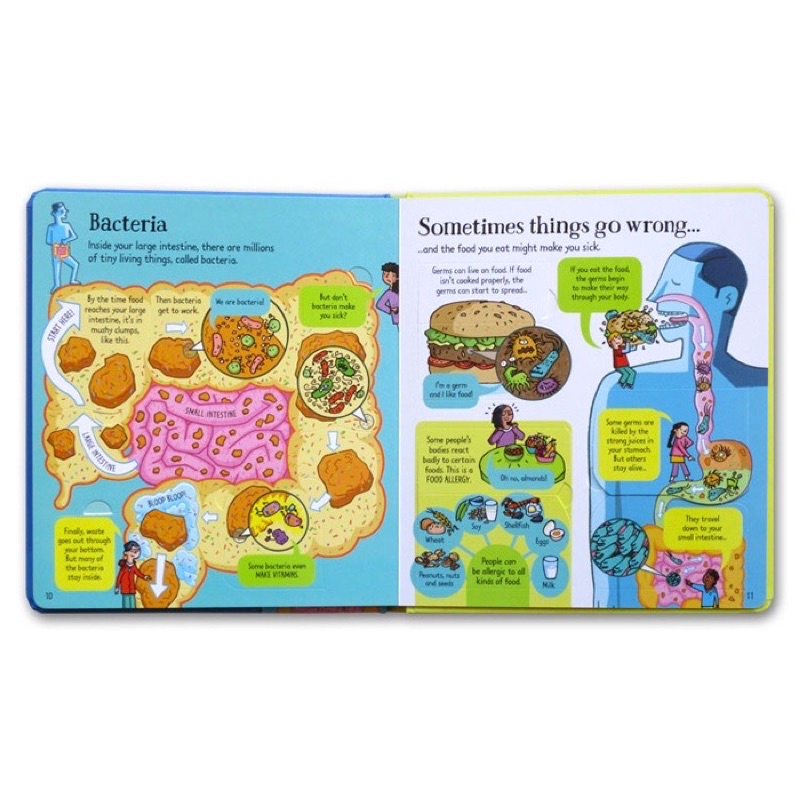 Usborne Look Inside What Happens When You Eat Imported Book Buku Edukasi Impor Anak Hard Cover Pages Kado children education Food Body