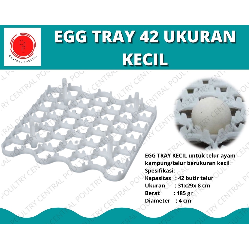 EGG TRAY 42 KECIL (TEMPAT PENYIMPANAN TELUR AYAM) PETERNAKAN