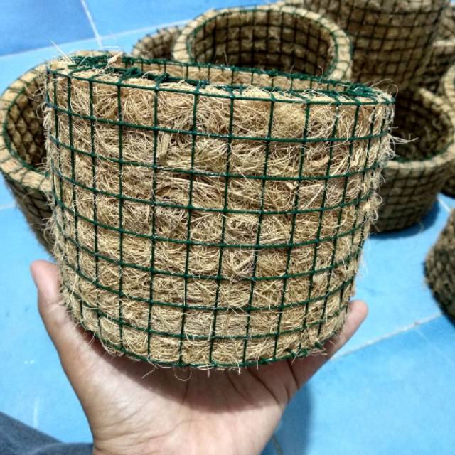  Pot  Anggrek  sabut  kelapa  Shopee Indonesia