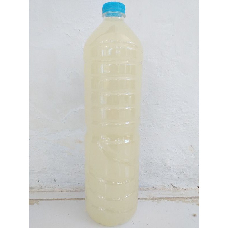 

Cuka Nira Asli 100% Original 1000ML Khas Madura