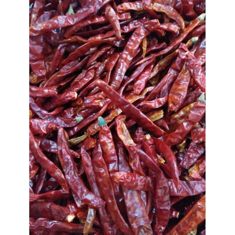 

Cabe Japlak | Sambal Pedas Khas Seblak Bandung