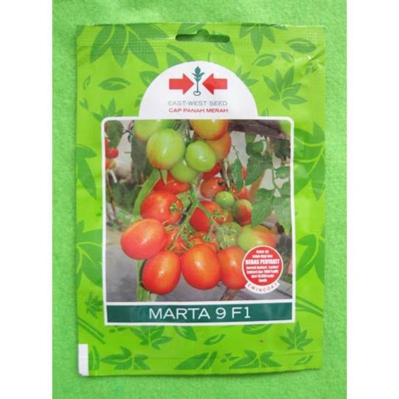 Bibit benih tomat F1 - Bibit tomat benih - bibit pohon tomat F1