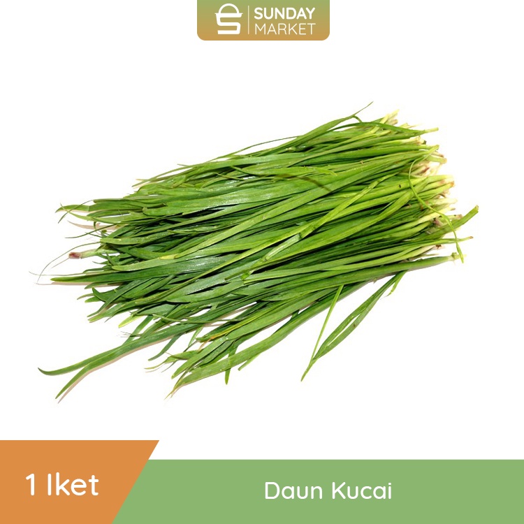 

Daun Kucai 1 Ikat | Fresh Setiap Hari .