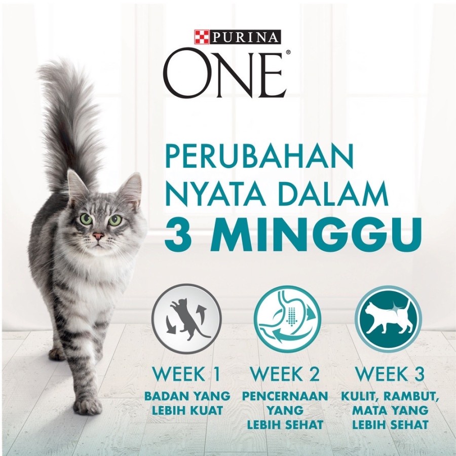 Purina One Healthy Adult Salmon &amp; Tuna 380gr Purina One Adult Salmon