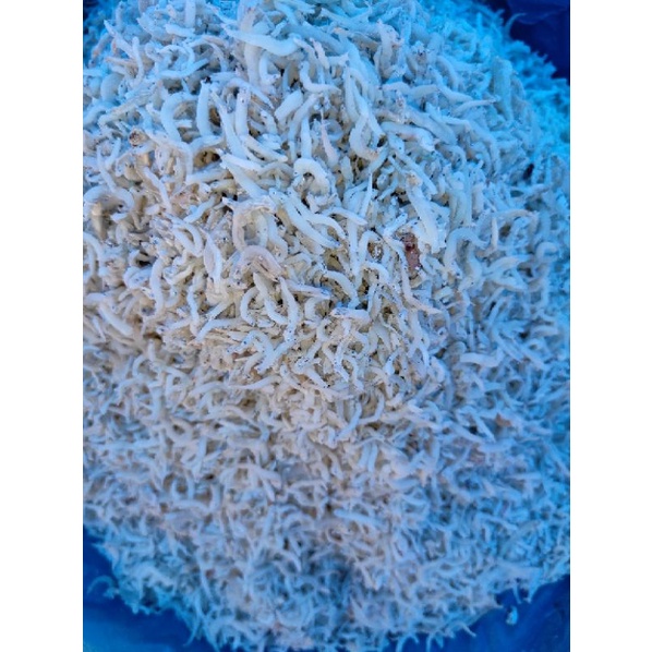 ikan teri nasi medan