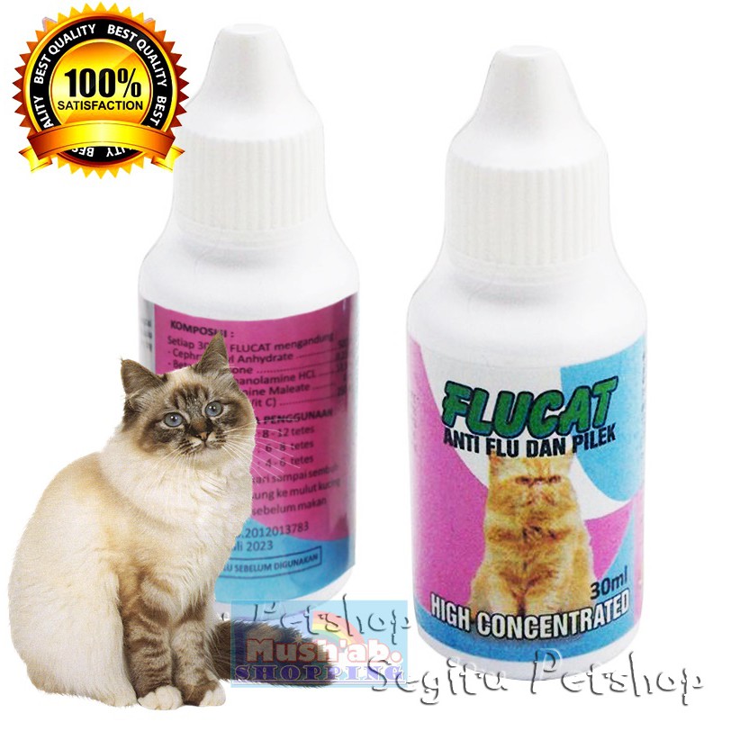 Obat Kucing Obat Flu Pilek Kucing Batuk Obat Kucing Ingusan FLUCAT Anti Flu Dan Pilek - 30ML