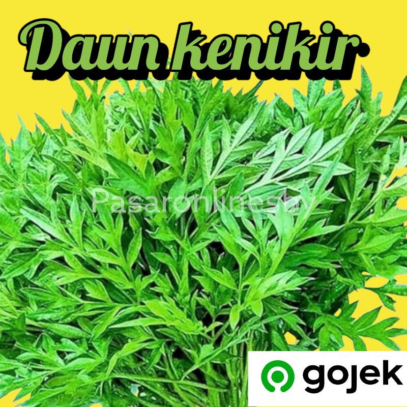 

PASAR GUBENG - Kenikir - Per Ikat