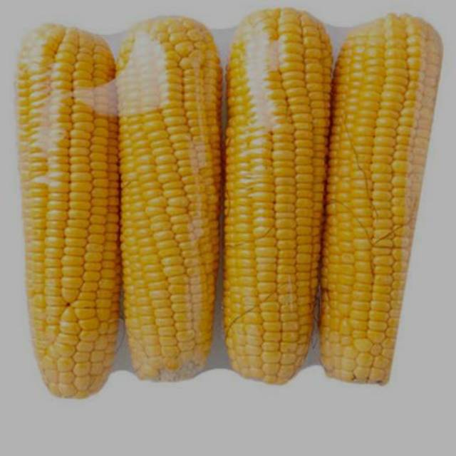 

Jagung Manis (Per Kilo)