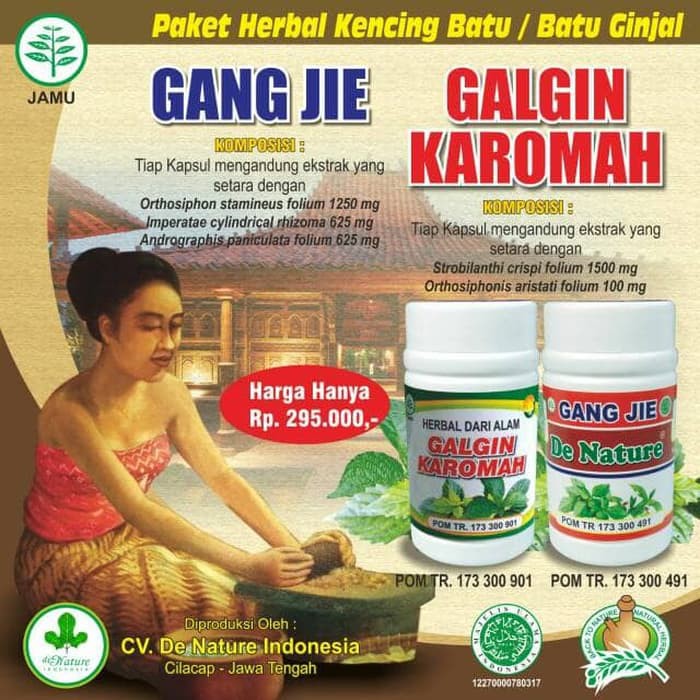 Obat Batu Ginjal Menghancurkan Batu Ginjal Meluruhkan Batu Ginjal DE NATURE