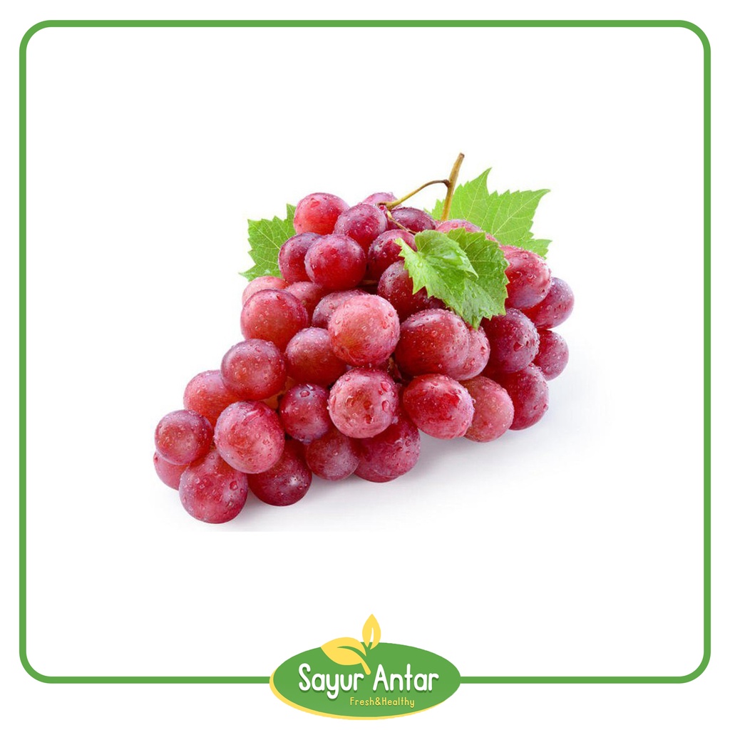 

Anggur Ungu 500 gr | Sayur.Antar | Free Ongkir Bandung Cimahi