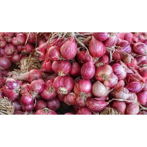 

Bawang Merah Lokal per 250 gram