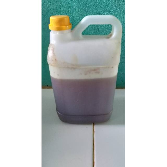 

madu asli sintang kalimantan barat