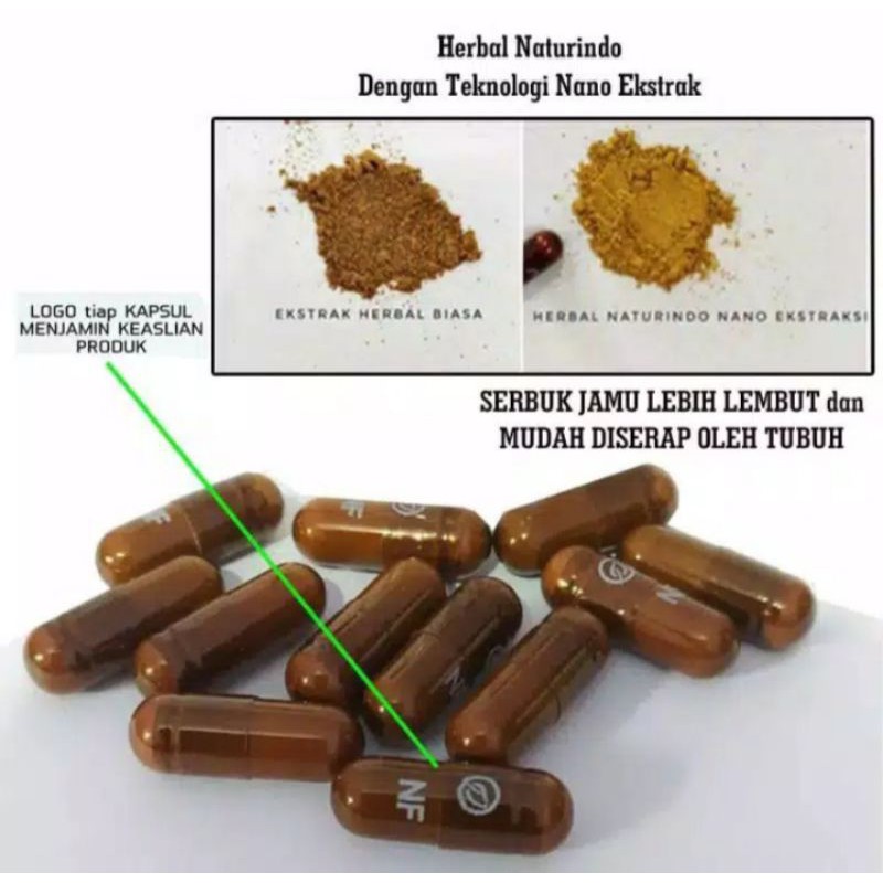 0HERBAL KENCING DARAH, GANGGUAN SALURAN KENCING, KENCING NANAH ,OBAT HERBAL AMPUH NATURINDO-7