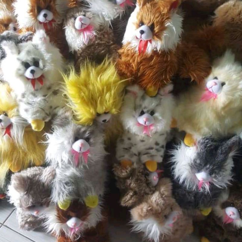 boneka kucing anggora bulu halus korea ukuran s