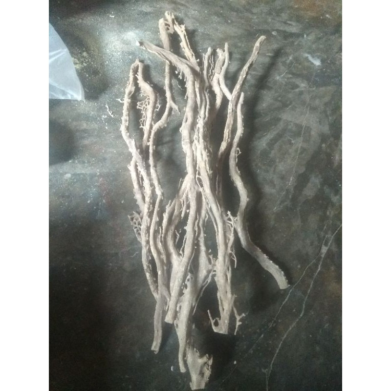 PAKET 1 KG BAHAN AKAR BAHAR PUTIH/BAHAN AKAR BAHAR