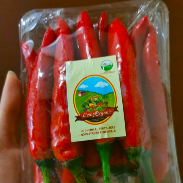 

Cabai Merah Besar Sayuran Organik 200 Gr