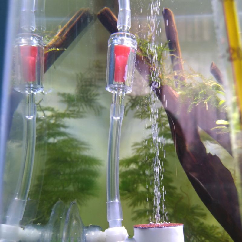 Diffuser Co2 diy cisod ragul white