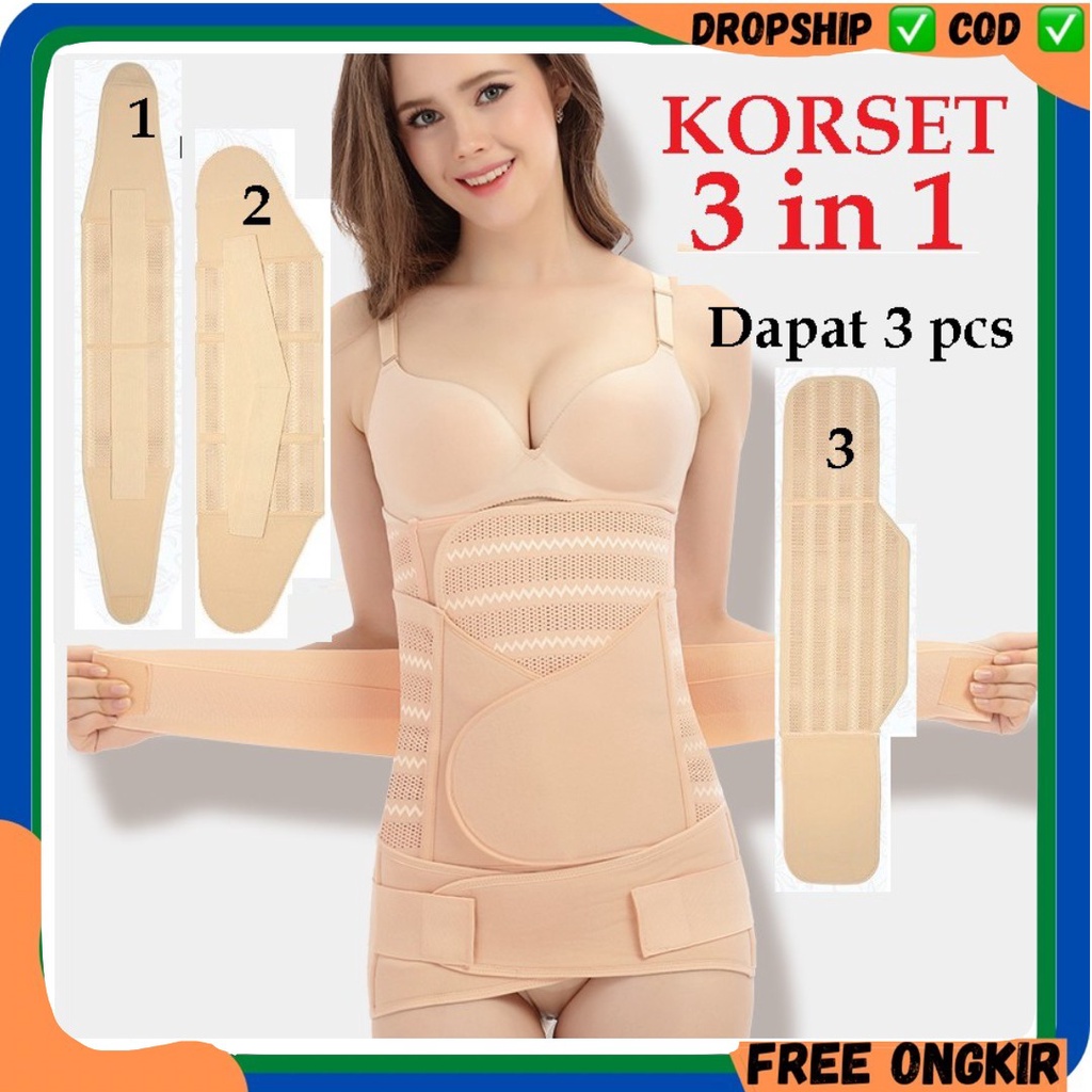 PREMIUM STAGEN 3IN1 JARING (4XL)