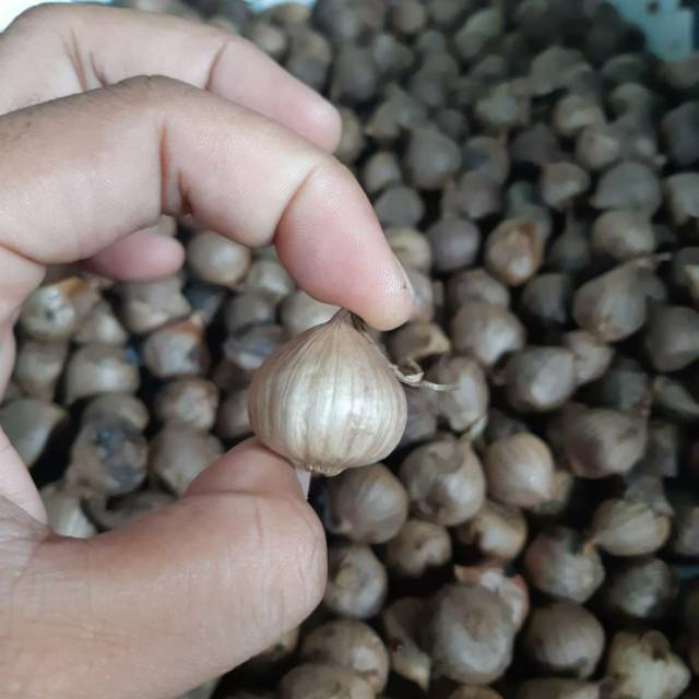 

BAWANG HITAM / BLACK GARLIC 150 / 300 / 1000 GRAM
