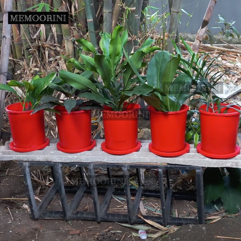 Ember bekas es krim / box es krim / ember murah