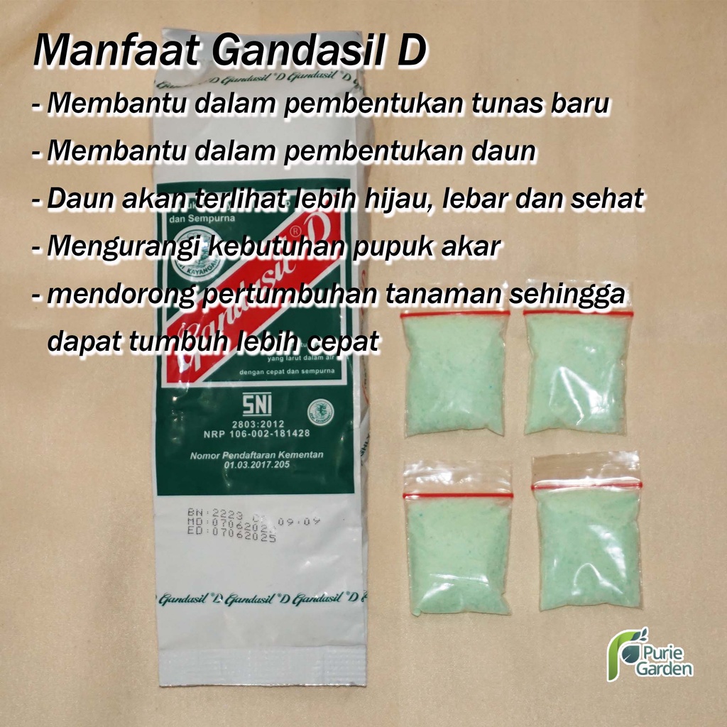 Pupuk Gandasil D Daun NPK Majemuk Fase Vegetatif Sayuran Tanaman Hias PG KDR