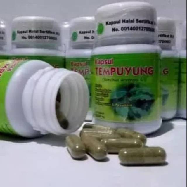 

Kapsul tempuyung