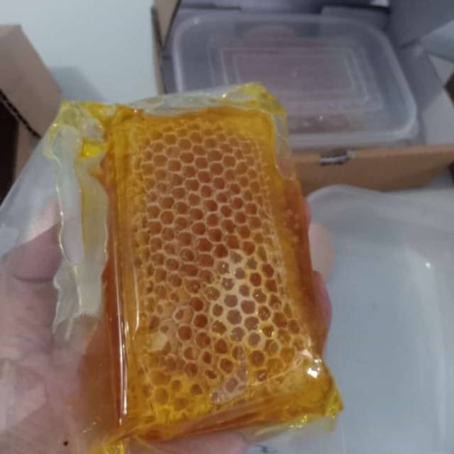 

Sarang madu original/sarangmadu murni