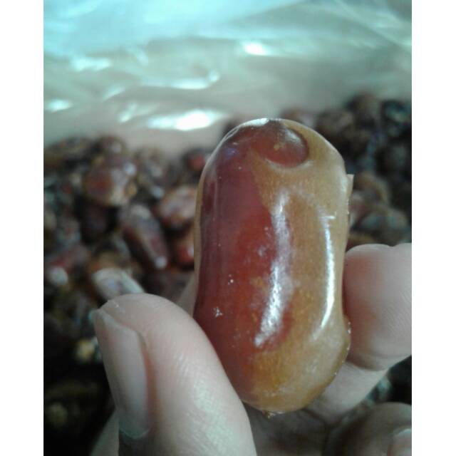 

KURMA KHALAS 500 gr