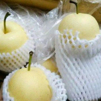 

buah pear manis Century