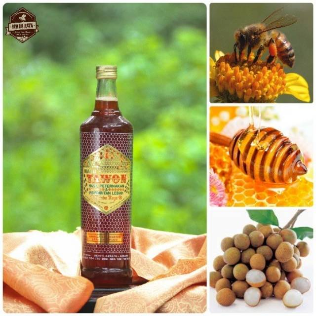 

Madu Kelengkeng